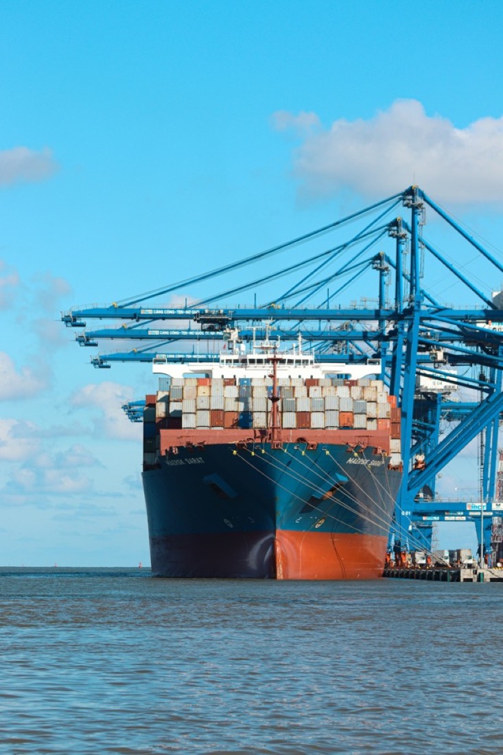 A container ship alongside the cranes of a Vietnamese terminal.